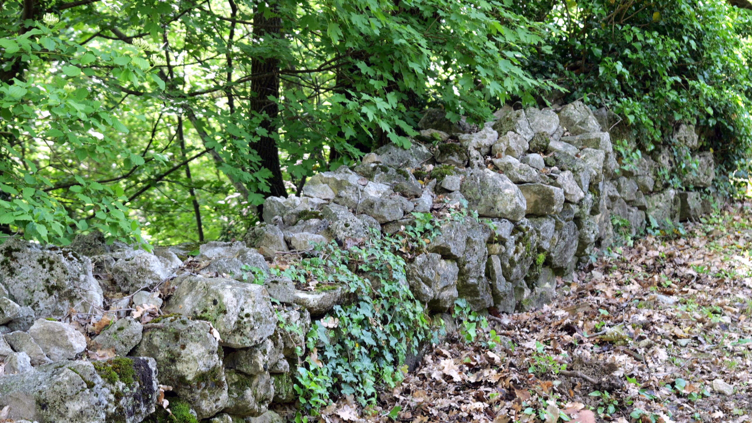 1-gromača 2