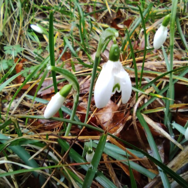 Jeste li ih već primijetili?