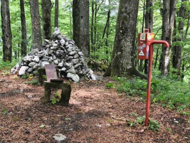 Japlenški vrh – zelena oaza iznad Delnica