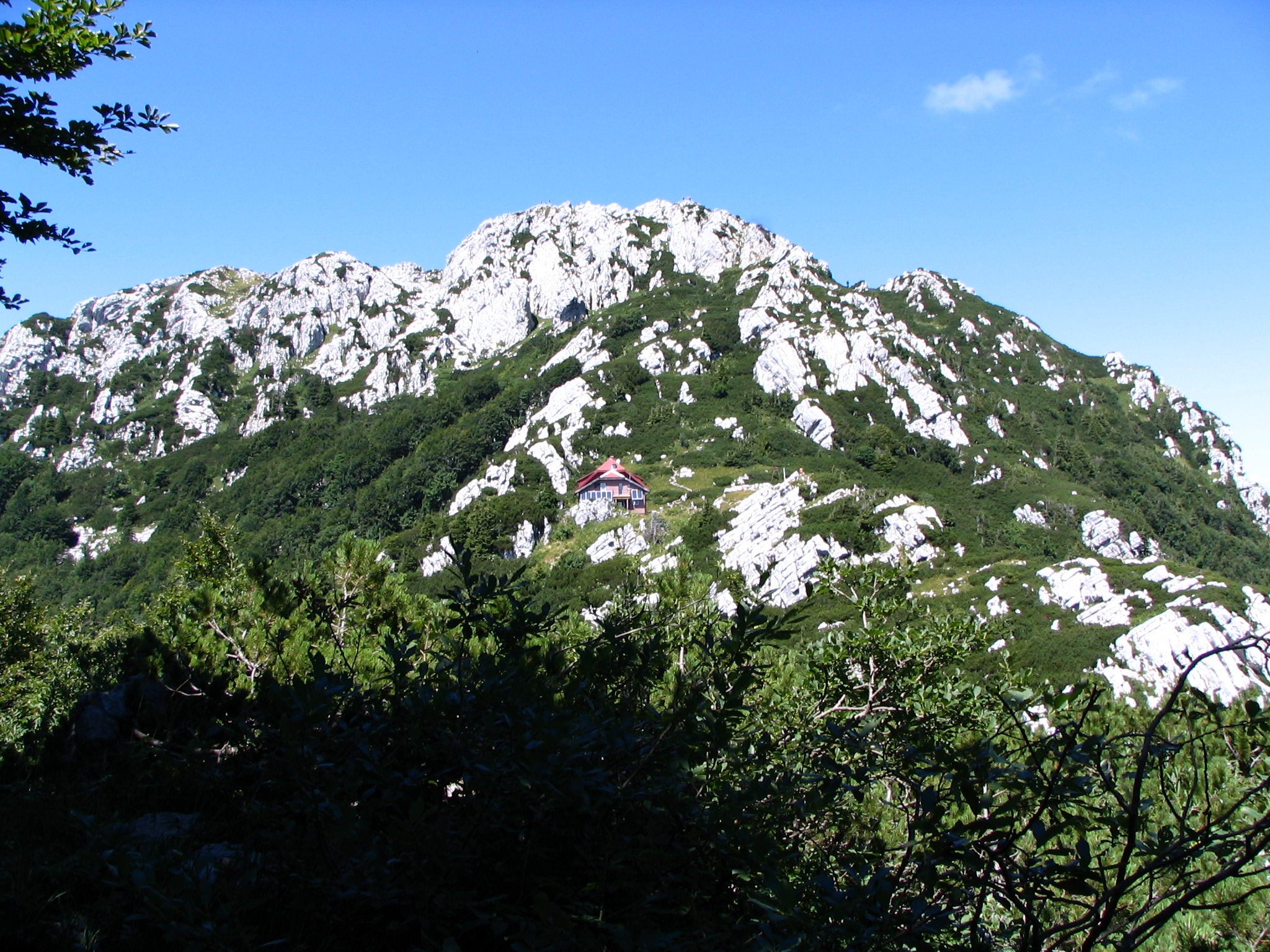 risnjak