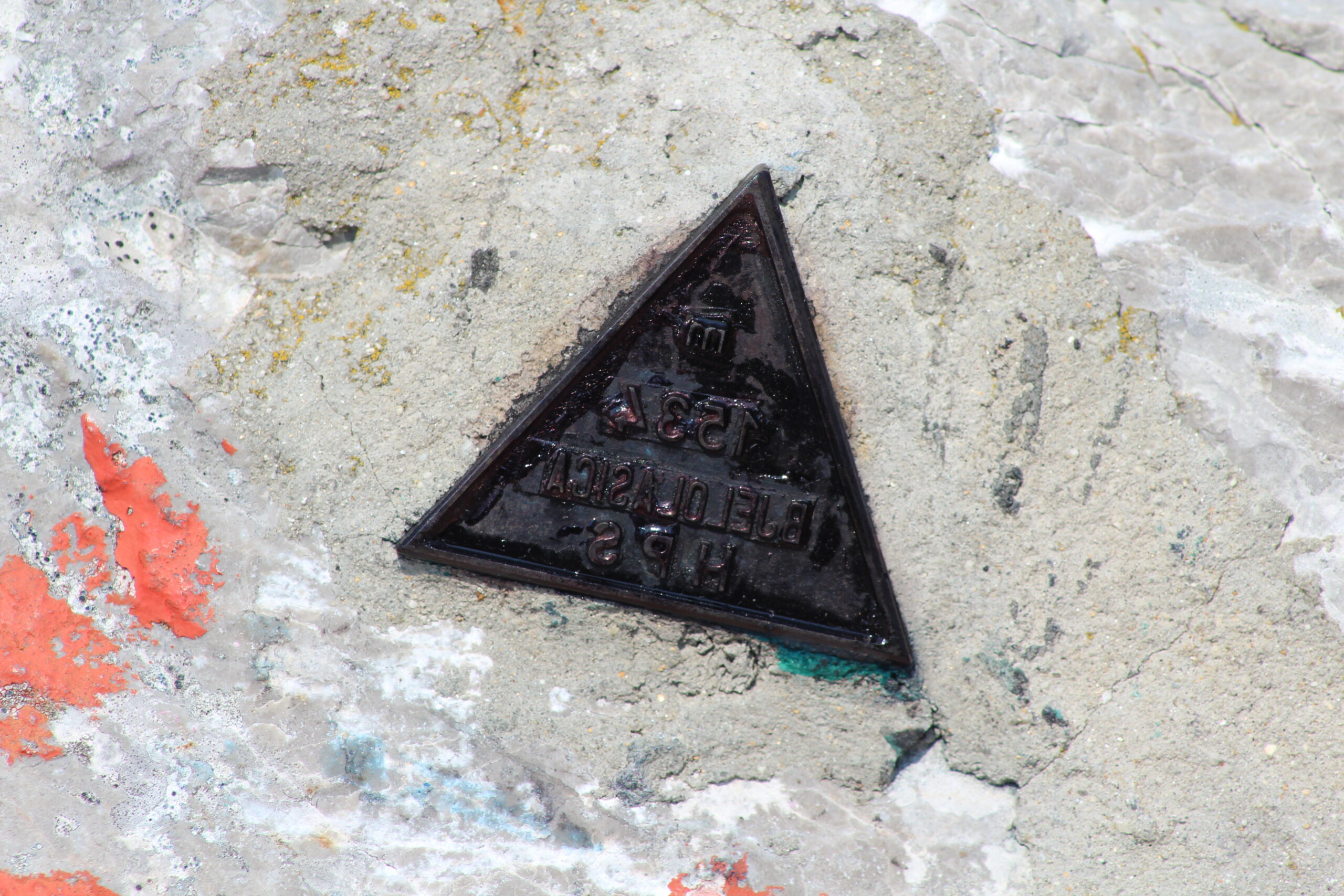 Bjelolasica 055
