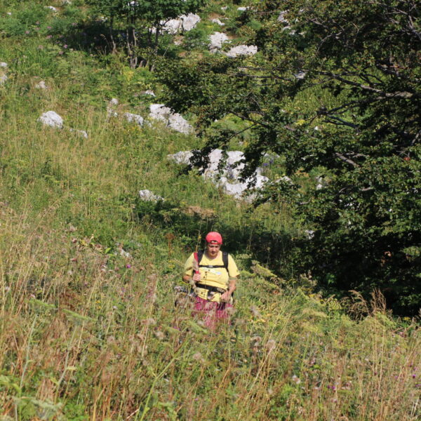 Put u planine: Bjelolasica 3. dio: O fraktalima i postanku