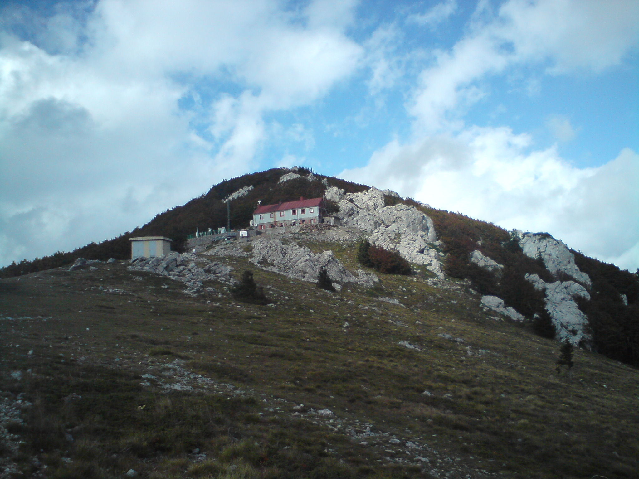 DSC00877
