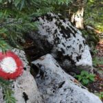 Sve što trebate znati prije uspona na Snježnik: Detaljan vodič kroz staze i sigurnosna pravila koja na Snježniku život znače